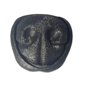 Dog Nose Fidget Clicker, Boop the snoot! small novelty fidget clicker toy